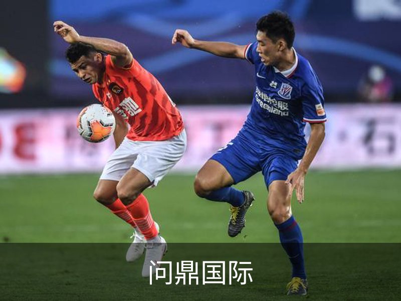 问鼎国际概况